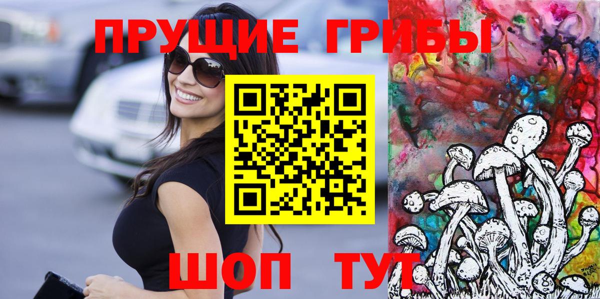 Галлюциногенные грибы Cubensis  Вход с VPN  Галлюциногенные грибы прущие грибы  Королёв 